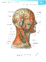 Sobotta Atlas of Human Anatomy  Head,Neck,Upper Limb Volume1 2006, page 88